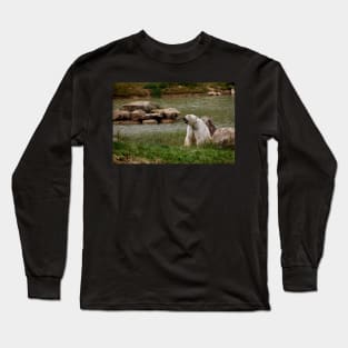 Viktor Long Sleeve T-Shirt